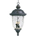 Carriage House VX Oriental Bronze Outdoor Hanging Lantern - Outdoor Hanging Lantern
