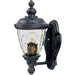 Carriage House VX Oriental Bronze Outdoor Wall Mount - Outdoor Wall Mount