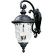 Carriage House VX Oriental Bronze Outdoor Wall Mount - Outdoor Wall Mount