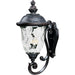 Carriage House VX Oriental Bronze Outdoor Wall Mount - Outdoor Wall Mount