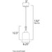 Centennial Polished Nickel Single Pendant - Pendants