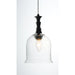 Centennial Polished Nickel Single Pendant - Pendants