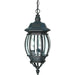 Central Park Textured Black Outdoor Pendant - Outdoor Pendant