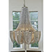 Chantilly Polished Nickel Chandelier - Chandeliers