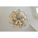 Chantilly Polished Nickel Chandelier - Chandeliers