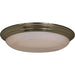 Classic EE Satin Nickel Flush Mount - Flushmounts