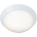 Cobalt White FlushMount - Flushmounts