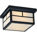 Coldwater Black Outdoor Flush Mount - Outdoor Flush Mount