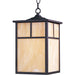 Coldwater Burnished Outdoor Hanging Lantern - Outdoor Hanging Lantern
