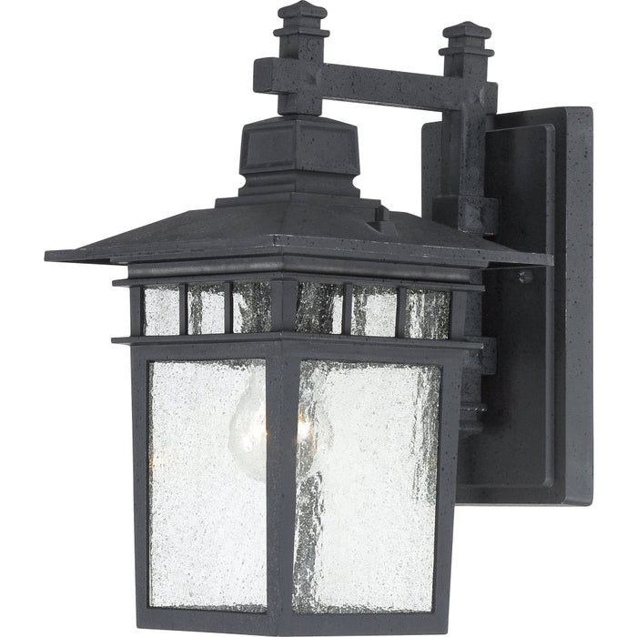 Cove Neck Textured Black Outdoor Wall Lantern - Outdoor Wall Lantern