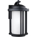 Crowell Black LED Outdoor Wall Lantern - Outdoor Wall Sconce