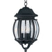 Crown Hill Black Outdoor Hanging Lantern - Outdoor Hanging Lantern