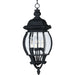 Crown Hill Black Outdoor Hanging Lantern - Outdoor Hanging Lantern