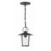 Crystorama Andover Matte Black 1 Light Outdoor Chandelier AND-9203-CL-MK - Outdoor Chandeliers