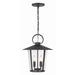 Crystorama Andover Matte Black 4 Light Outdoor Chandelier AND-9204-CL-MK - Outdoor Chandeliers