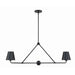 Crystorama Xavier Matte Black 2 Light Chandelier XAV-B9302-MK - Chandeliers