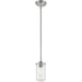 Delaney Brushed Nickel Mini-Pendant - Mini-Pendants