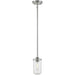 Delaney Brushed Nickel Mini-Pendant | theLightShop