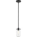 Delaney Matte Black Mini-Pendant | theLightShop