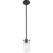 Delaney Matte Black Mini-Pendant - Mini-Pendants