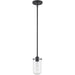 Delaney Matte Black Mini-Pendant - Mini-Pendants