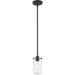 Delaney Matte Black Mini-Pendant - Mini-Pendants