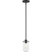 Delaney Matte Black Mini-Pendant - Mini-Pendants