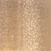 Diffusion Oil Rubbed Bronze Wall Sconce - Wall Sconce