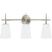 Driscoll Brushed Nickel LED Vanity Fixture - Bath & Vanity