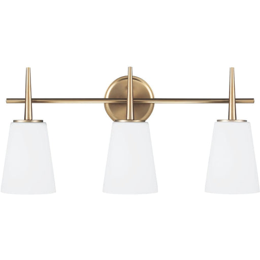 Driscoll Satin Bronze LED Vanity Fixture - Bath & Vanity