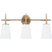 Driscoll Satin Bronze LED Vanity Fixture - Bath & Vanity