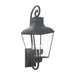 Dumont Outdoor 4 Light Graphite Wall Mount - Wall Sconces