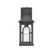 Elk Triumph Textured Black 1 Light Outdoor Wall Sconce 89602/1 - Outdoor Wall Sconces