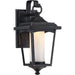 Essex Sterling Black LED Outdoor Wall Lantern - Outdoor Wall Lantern