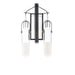 ET2 Capsule Black Brushed Aluminum 2 Light LED Bath Vanity E24172-93BKAL
