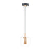 ET2 Newton Black Gold 1 Light LED Pendant E24162-18BKGLD