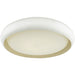 Euphoria White 1 Light LED Flushmount - Flushmounts
