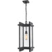 Fallow Black Outdoor Chain Mount Ceiling Fixture | theLightShop