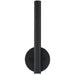 Forest Matte Black LED Wall Sconce | theLightShop