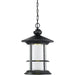 Genesis Black LED Outdoor Chain Mount Ceiling Fixture - Outdoor Chain Mount Ceiling Fixture