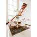 Gianna Modern Gold 6 Light 46 Inch Chandelier Z-Lite 7509-6-46MGLD | theLightShop