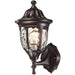 Glendale Regal Bronze Outdoor Sconce - Outdoor Sconce