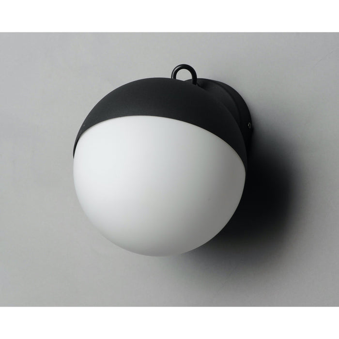 Half Moon Black LED Wall Sconce - Wall Sconce