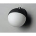Half Moon Black LED Wall Sconce - Wall Sconce