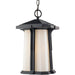 Harbor Lane Black Outdoor Chain Mount Ceiling Fixture | theLightShop