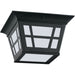 Herrington Black LED Outdoor Flush Mount - Outdoor Flush Mounts