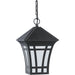 Herrington Black LED Outdoor Pendant - Outdoor Pendant