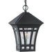 Herrington Black Outdoor Pendant - Outdoor Pendant