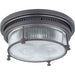 Hi-Bay Bronze Flush Mount - Flushmounts