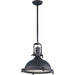 Hi-Bay Bronze Single Pendant - Pendants